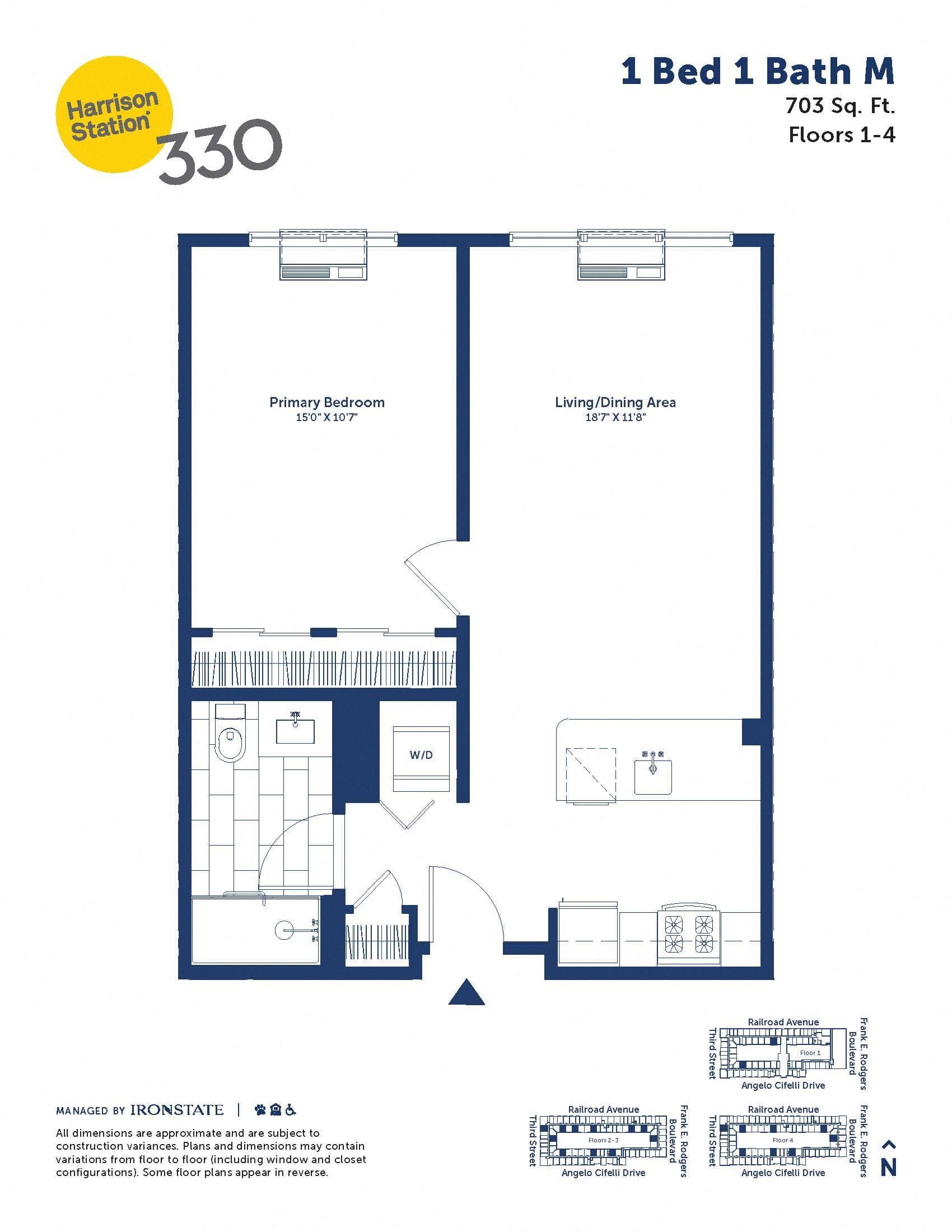 1 Bed 1 Bath M floor plan at 330 Angelo Cifelli